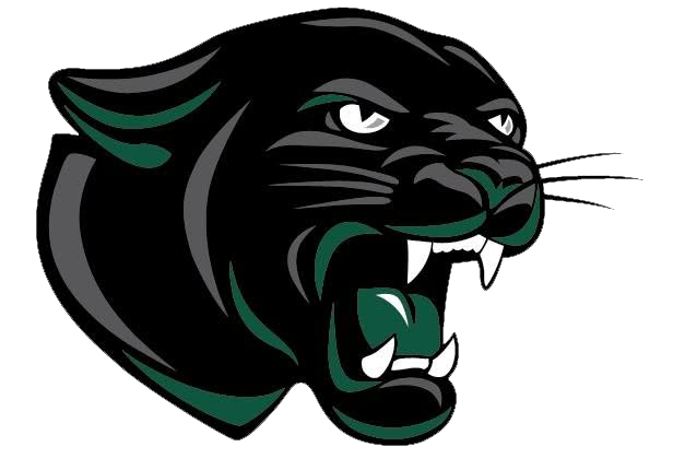 Elyria Catholic Panthers Football